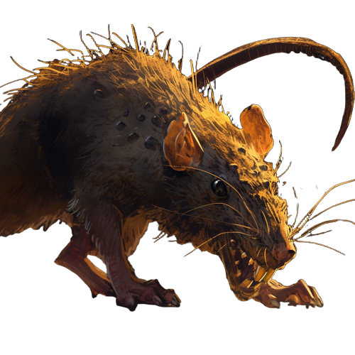 Giant Rat