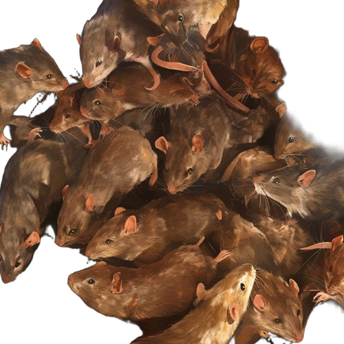 Swarm Of Rats